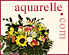 Aquarelle.com